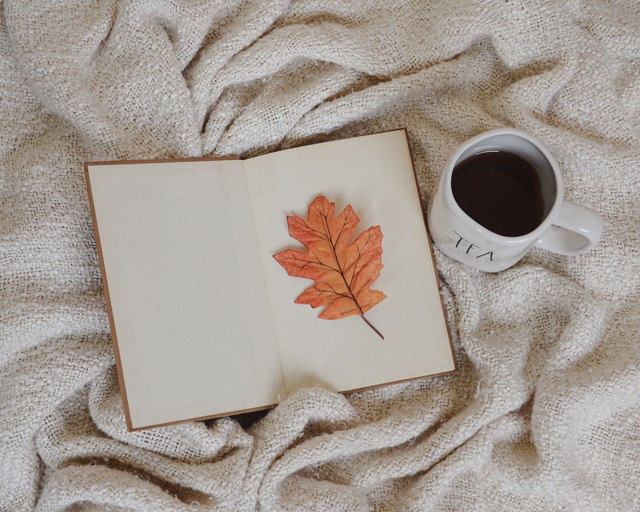 book leaf tea autumn fall nature 8295812